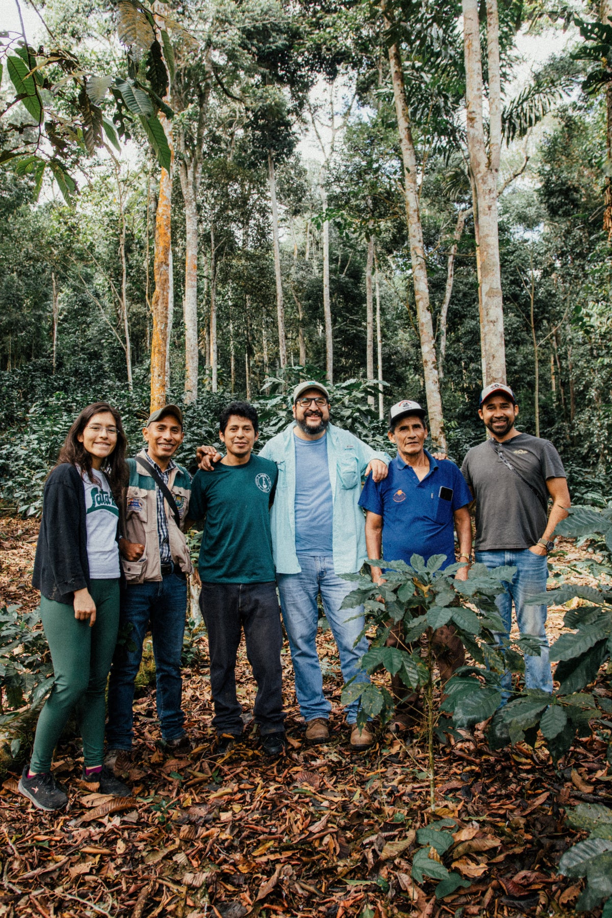 BOLIVIA ORGANIC - SPRING RELEASE MICROLOT