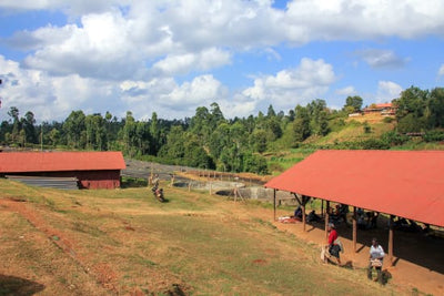 KENYA KIKUYU - SPECIAL RELEASE