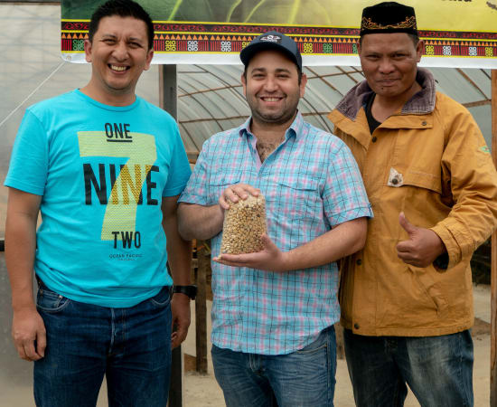 SUMATRA PUTRA GAYO ~ Exceptional Special Release