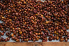 Cascara Tea Costa Rica