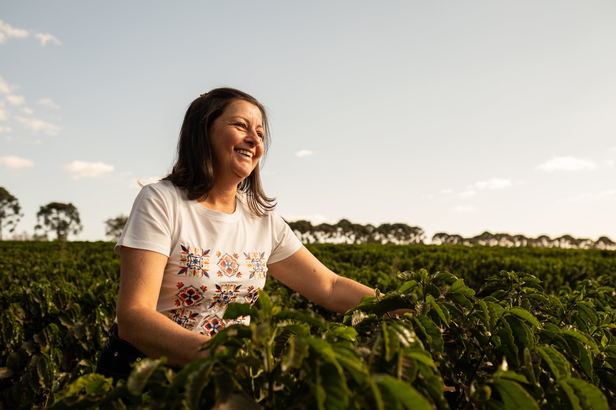 BRAZIL DONAS do CAFE - FEMALE PRODUCERS