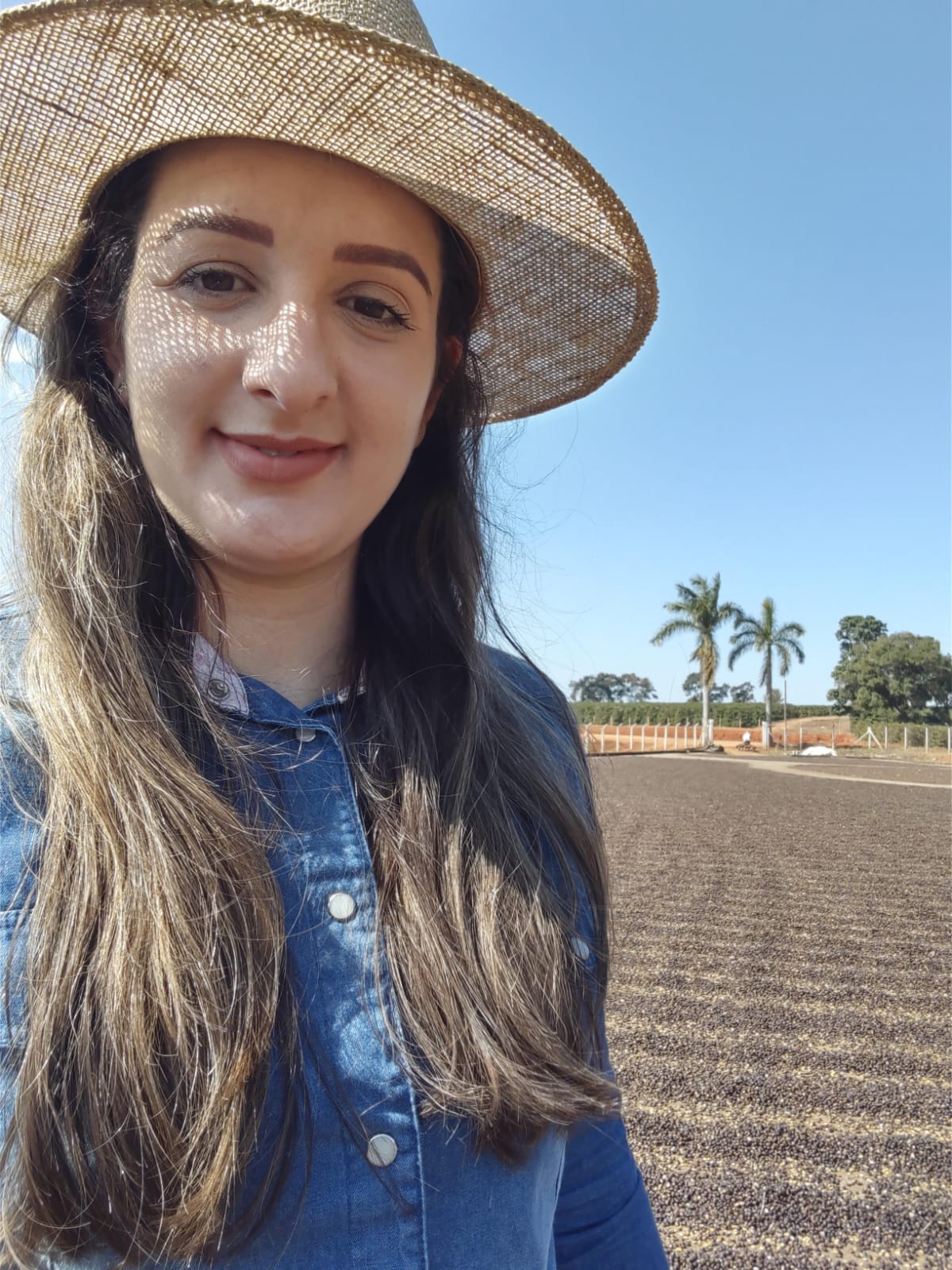 BRAZIL DONAS do CAFE - FEMALE PRODUCERS