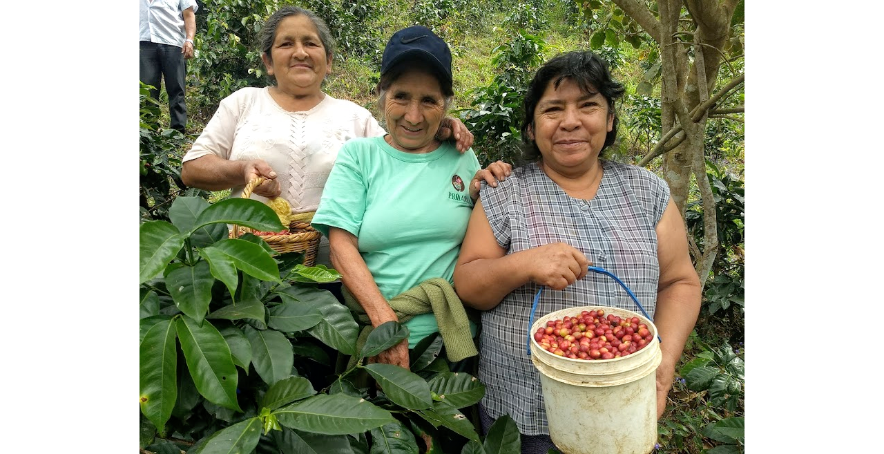 PERU CAFE FEMENINO ORGANIC