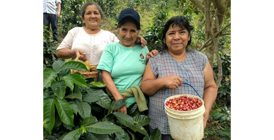 PERU CAFE FEMENINO ORGANIC