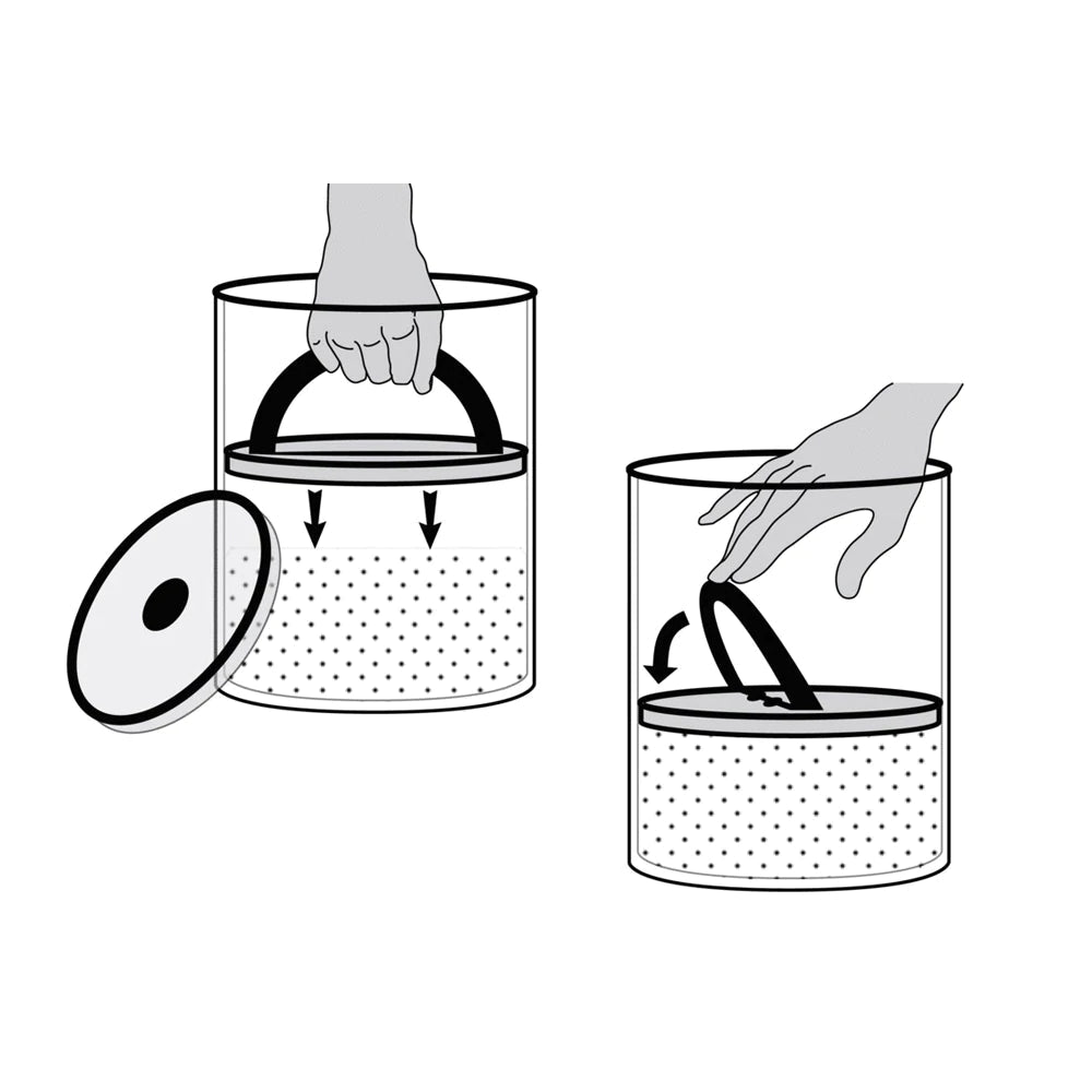Airscape Coffee Bean Canister - Medium